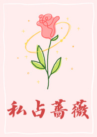 私占经济适用房影响